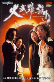 火武耀扬 Online In Netflix