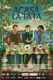 Acasă la tata Online In Netflix
