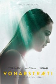 Vonarstræti Online In Netflix