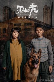 东北虎 Online In Netflix