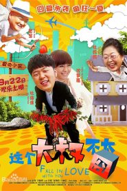 这个大叔不太囧 Online In Netflix
