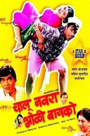 Chalu Navra Bholi Bayko Online In Netflix