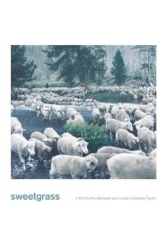 Sweetgrass Online In Netflix