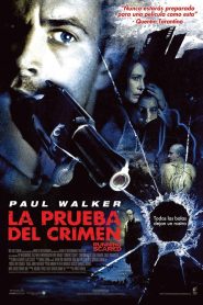 El día del crimen Online In Netflix