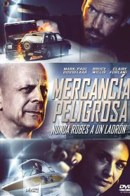 Mercancía peligrosa Online In Netflix