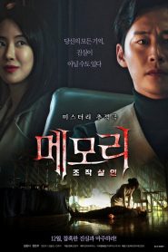 메모리: 조작살인 Online In Netflix