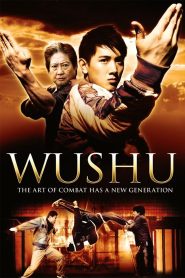 武术之少年行 Online In Netflix