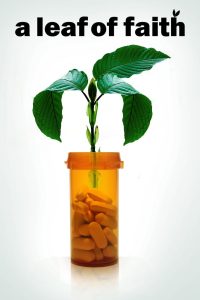 A Leaf of Faith Online In Netflix