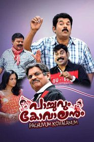 പാച്ചുവും കോവാലനും Online In Netflix