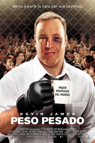 El maestro luchador Online In Netflix