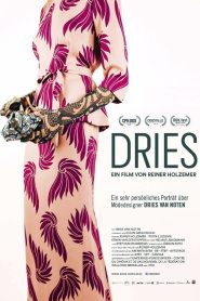 Dries Online In Netflix