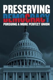 Preserving Democracy: Pursuing a More Perfect Union Online In Netflix