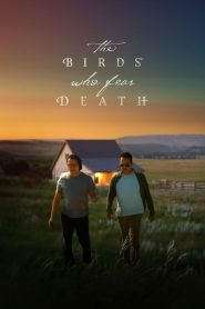 The Birds Who Fear Death Online In Netflix