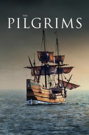 The Pilgrims Online In Netflix