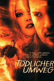 Tödlicher Umweg Online In Netflix