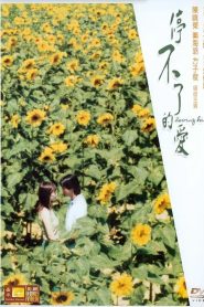 停不了的爱 Online In Netflix