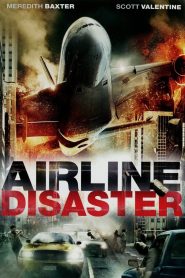Airline Disaster Online In Netflix