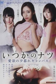 いつかのナツ　愛欲の夕暮れキャンパス Online In Netflix