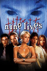 Nine Lives Online In Netflix