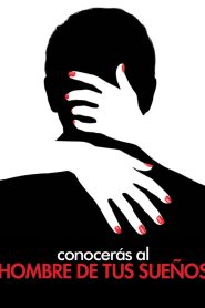 Conocerás al hombre de tus sueños Online In Netflix