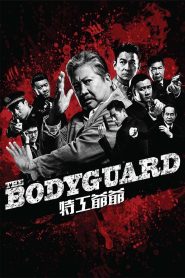 Mi amado guardaespaldas Online In Netflix