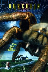 Arachnia Online In Netflix