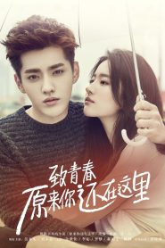 致青春·原来你还在这里 Online In Netflix