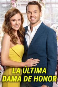 The Last Bridesmaid Online In Netflix