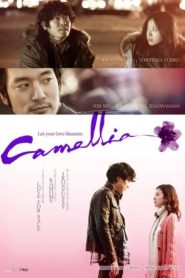카멜리아 Online In Netflix