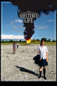 Sheltered Life Online In Netflix