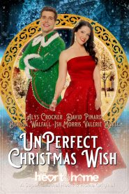 Una Navidad perfectamente imperfecta Online In Netflix