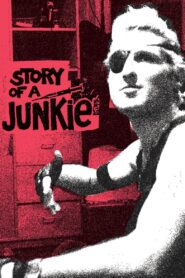 Story of a Junkie Online En Netflix