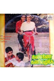 கண்ணே கனியமுதே Online En Netflix