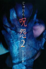 Ju-on 2 Online En Netflix