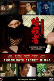 Oniwaban Himon Ansatsusha Online En Netflix