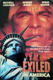Exiled in America Online En Netflix