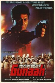 Gunaah Online En Netflix