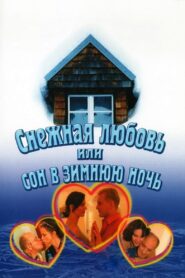 Снежная любовь, или Сон в зимнюю ночь Online En Netflix