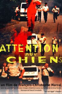 Attention aux chiens Online En Netflix