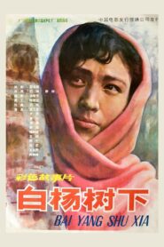 白杨树下 Online En Netflix