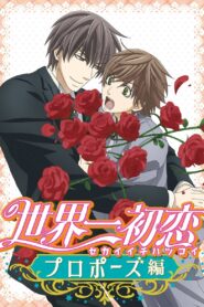 世界一初恋~プロポーズ編~ Online En Netflix