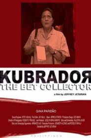 Kubrador Online En Netflix