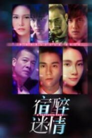 宿醉迷情 Online En Netflix