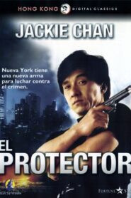 El Protector Online En Netflix