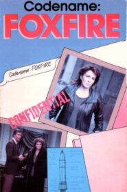 Code Name: Foxfire Online En Netflix