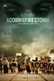 Acorn and the Firestorm Online En Netflix