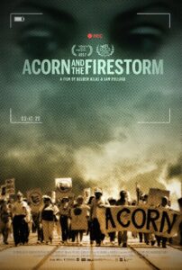 Acorn and the Firestorm Online En Netflix