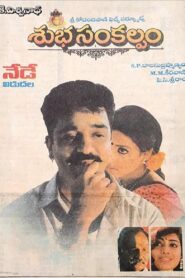 శుభసంకల్పం Online En Netflix