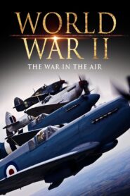 World War II: The War in the Air Online En Netflix