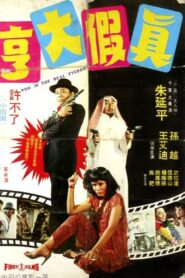真假大亨 Online En Netflix